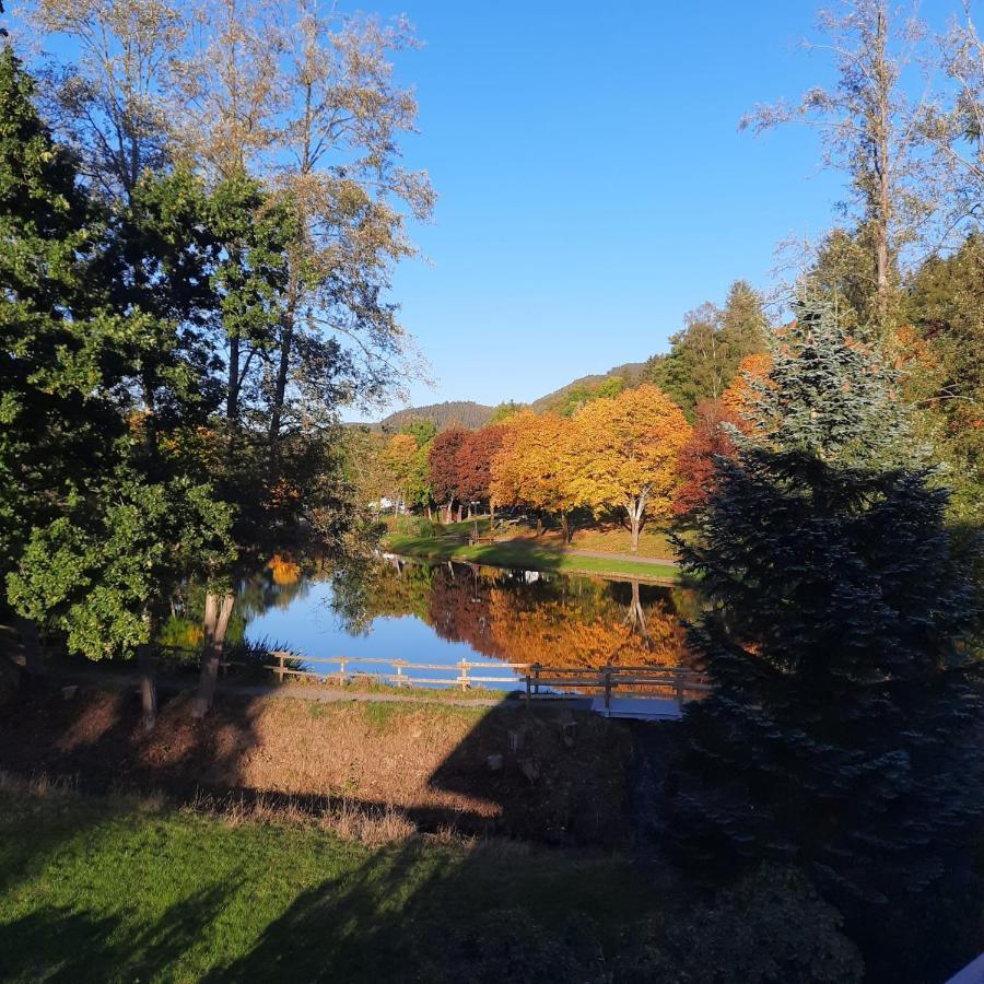 Haus Schmitten Winterberg Exteriér fotografie